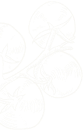 Supara Masale blog banner decoration